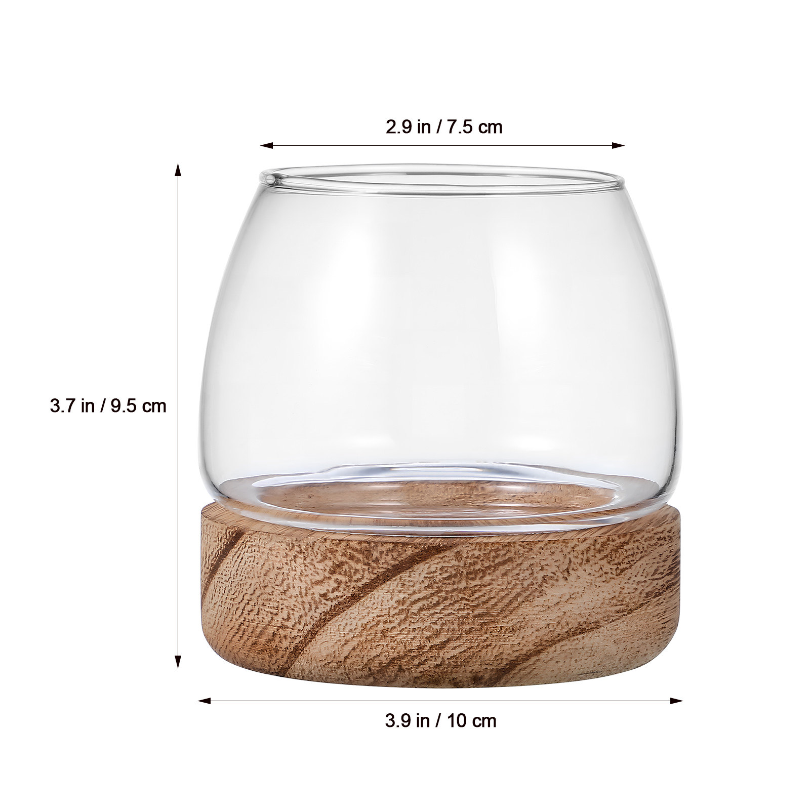 Glass Fish Bowl Round Transpar - Planted Aquarium Bowl บทวิจารณ์และราคา