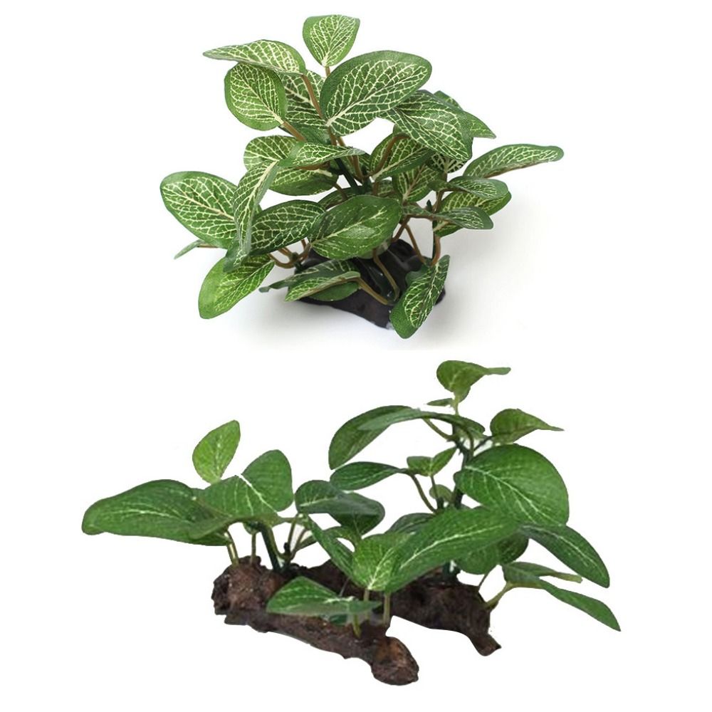 Silk Decorative Faux Simulated - Planted Aquarium Jar บทวิจารณ์และราคา