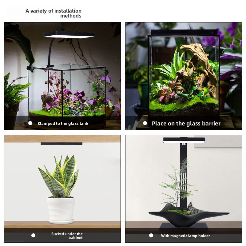 Week Aqua Mini9Pro Magnetic Cl - Planted Aquarium Jar บทวิจารณ์และราคา